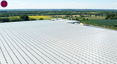 Low carbon farm visit of pepper farm